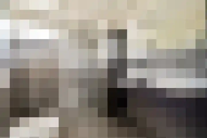 Haringvlietplantsoen 4 Heemstede thumbnail 23