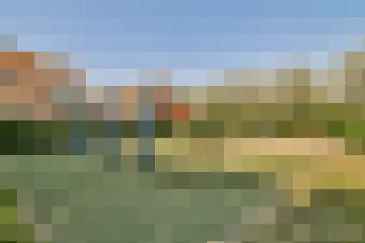 Haringvlietplantsoen 4 Heemstede thumbnail 29