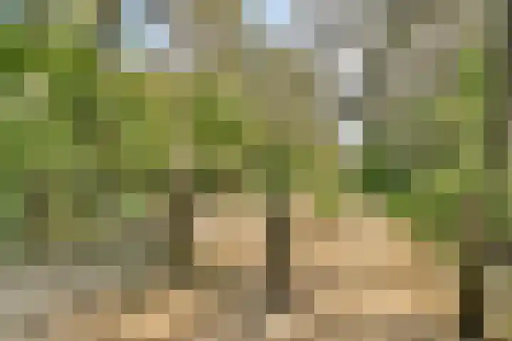 Haringvlietplantsoen 4 Heemstede thumbnail 30