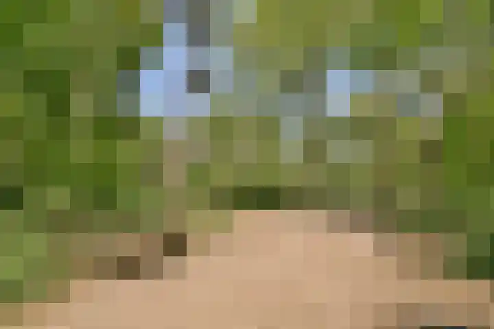 Haringvlietplantsoen 4 Heemstede thumbnail 31