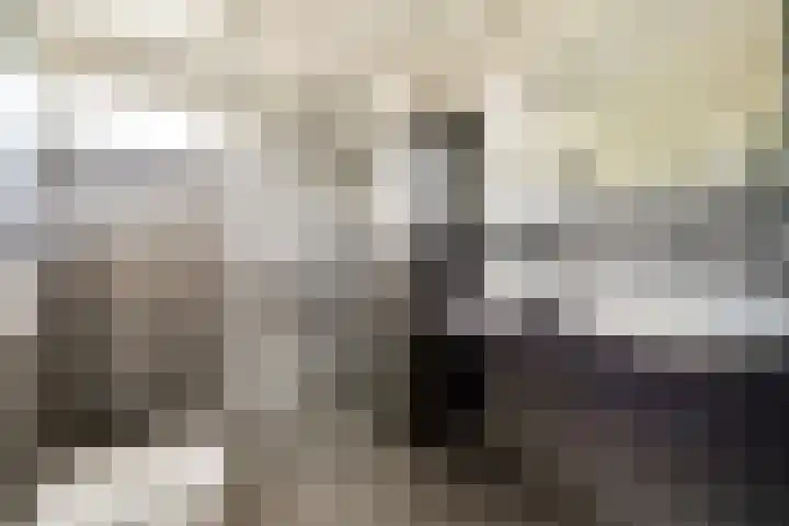 Haringvlietplantsoen 4 Heemstede thumbnail 5
