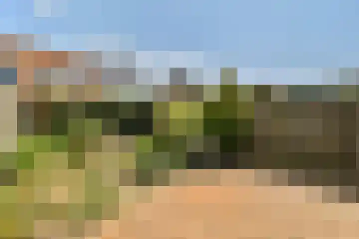 Haringvlietplantsoen 4 Heemstede thumbnail 6