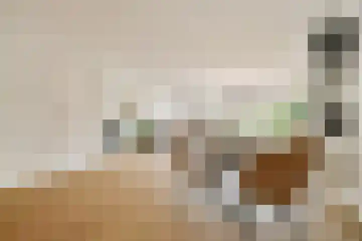 Haringvlietplantsoen 4 Heemstede thumbnail 9