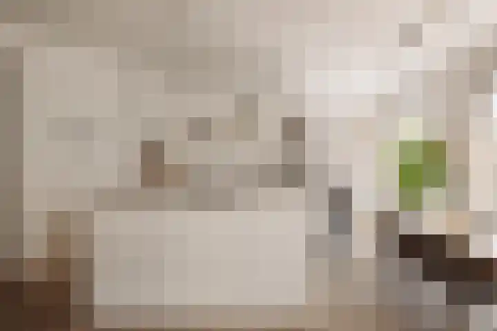 Haringvlietstraat 1 1 Amsterdam thumbnail 10