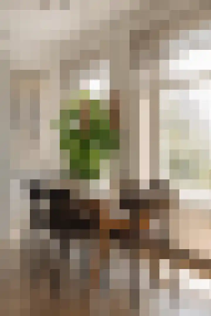 Haringvlietstraat 1 1 Amsterdam thumbnail 9