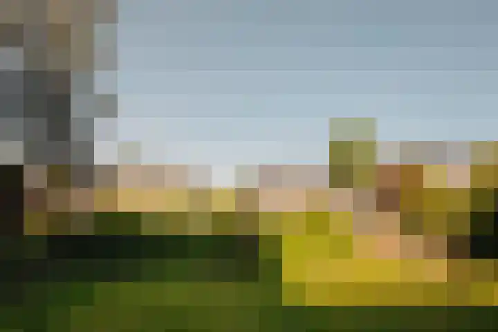 Haringvlietstraat 12 Amsterdam thumbnail 13