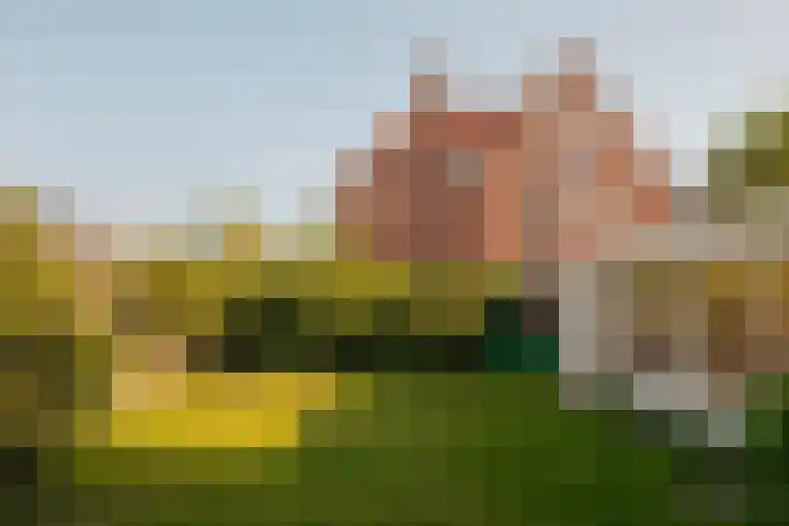 Haringvlietstraat 12 Amsterdam thumbnail 4