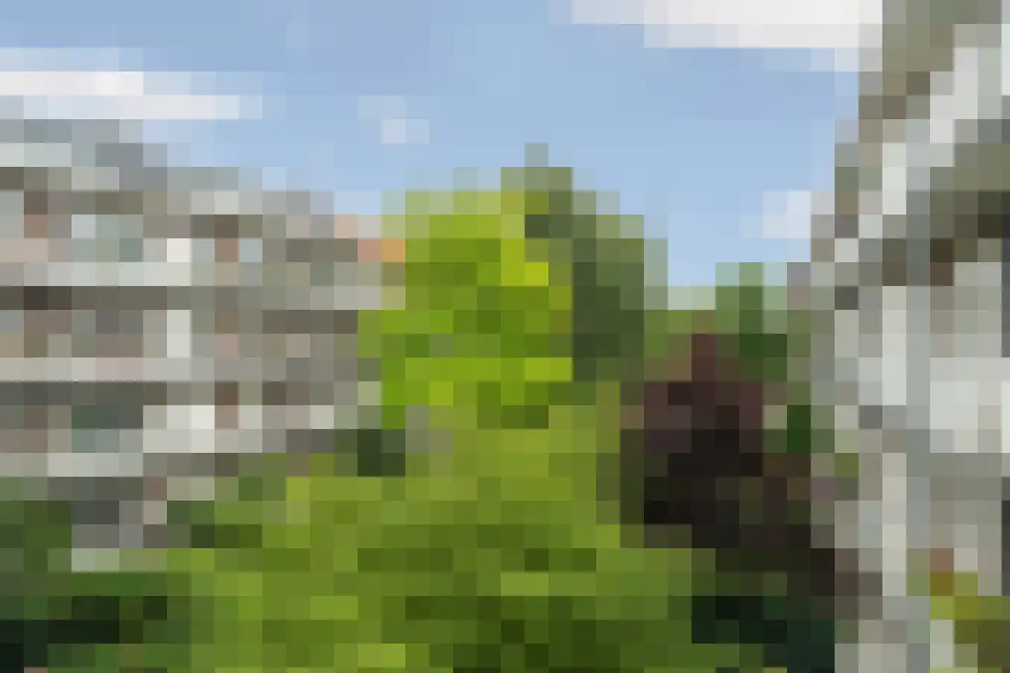 Haringvlietstraat 13 2 Amsterdam thumbnail 19