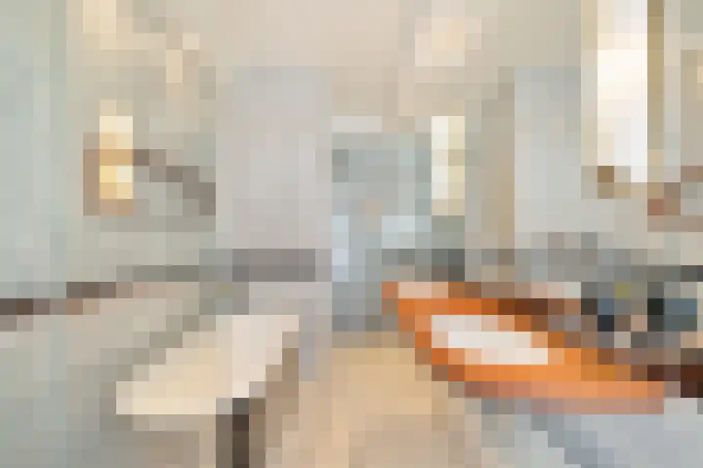 Haringvlietstraat 13 2 Amsterdam thumbnail 25