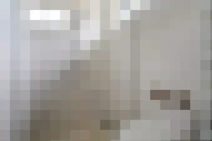 Haringvlietstraat 13 Middelburg thumbnail 26