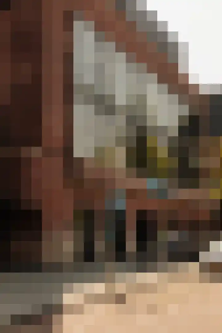 Haringvlietstraat 17 2 Amsterdam thumbnail 22