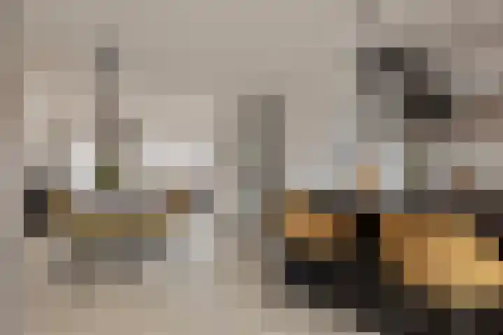 Haringvlietstraat 17 Lewedorp thumbnail 10