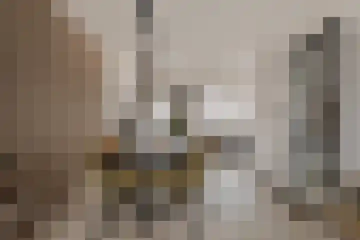 Haringvlietstraat 17 Lewedorp thumbnail 11