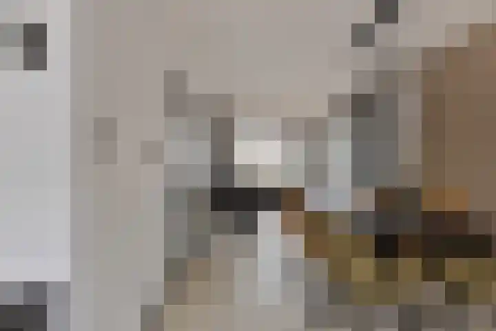 Haringvlietstraat 17 Lewedorp thumbnail 15
