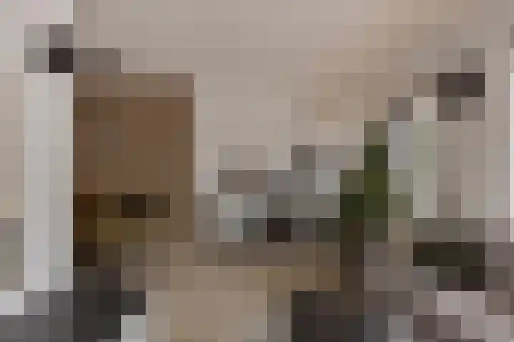 Haringvlietstraat 17 Lewedorp thumbnail 16