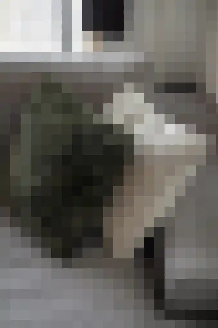 Haringvlietstraat 17 Lewedorp thumbnail 21