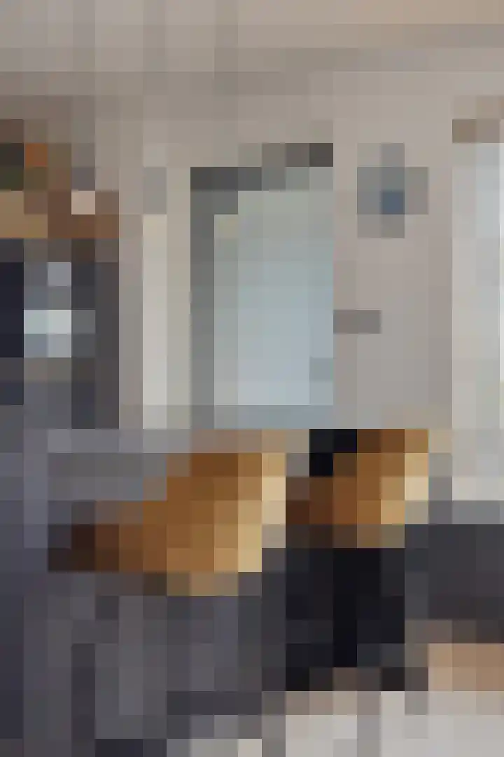 Haringvlietstraat 17 Lewedorp thumbnail 24