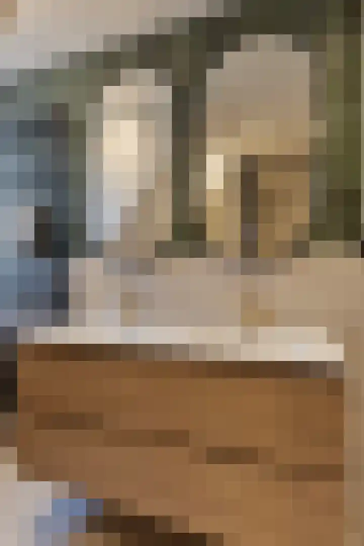 Haringvlietstraat 17 Lewedorp thumbnail 37