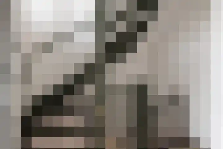 Haringvlietstraat 17 Lewedorp thumbnail 39
