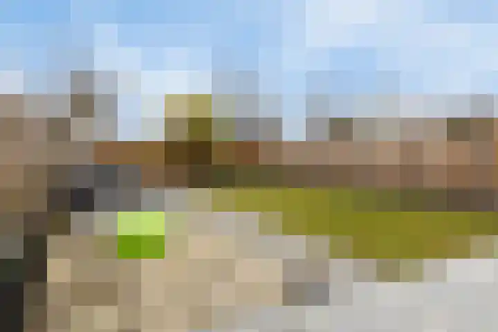 Haringvlietstraat 17 Lewedorp thumbnail 45