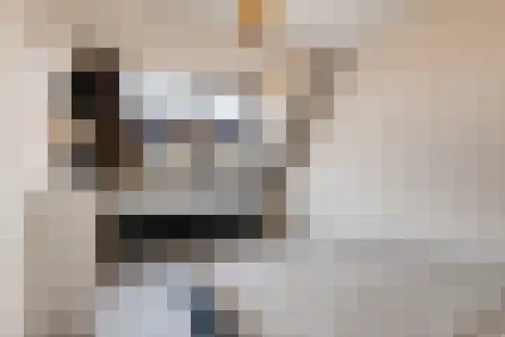 Haringvlietstraat 19 Lewedorp thumbnail 15
