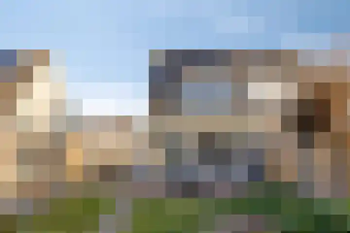 Haringvlietstraat 19 Lewedorp thumbnail 28
