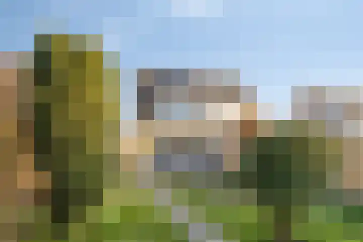 Haringvlietstraat 19 Lewedorp thumbnail 4