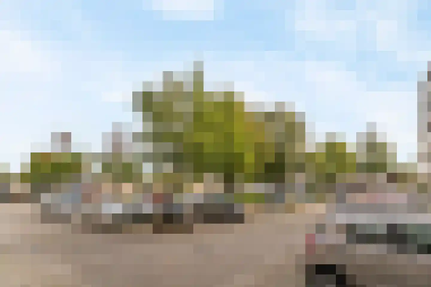 Haringvlietstraat 39 Dordrecht thumbnail 35