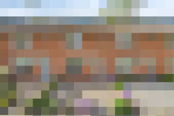 Haringvlietstraat 39 Zierikzee thumbnail 35