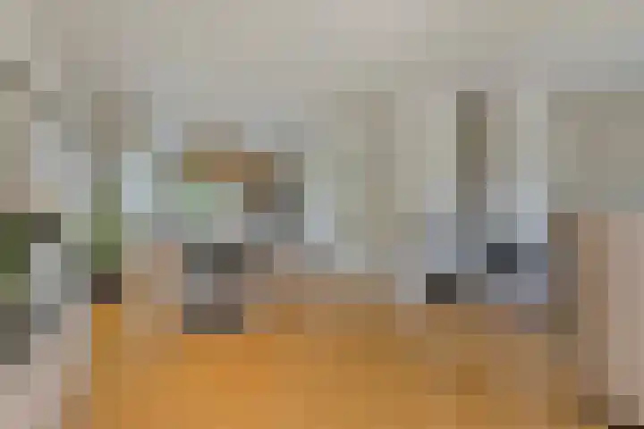 Haringvlietstraat 47 Lewedorp thumbnail 11