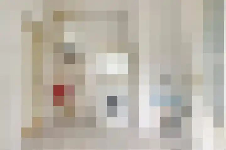 Haringvlietstraat 47 Lewedorp thumbnail 16