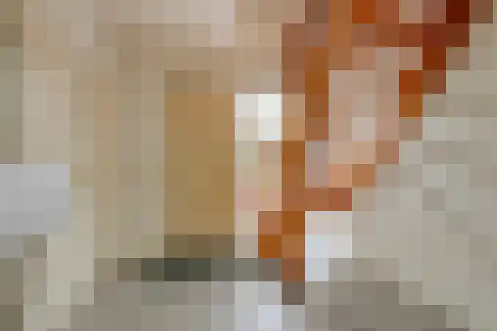 Haringvlietstraat 47 Lewedorp thumbnail 18