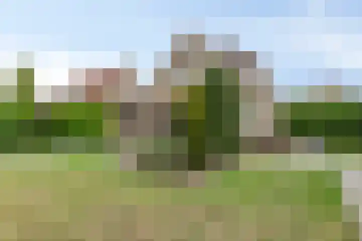 Haringvlietstraat 47 Lewedorp thumbnail 31