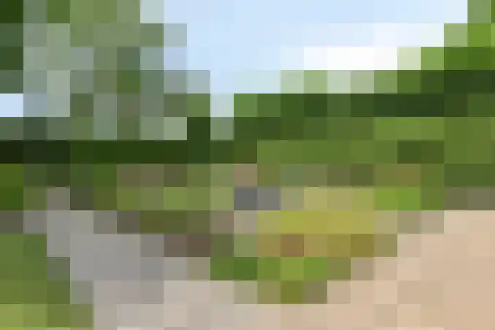 Haringvlietstraat 47 Lewedorp thumbnail 36