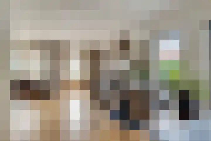Haringvlietstraat 47 Lewedorp thumbnail 4
