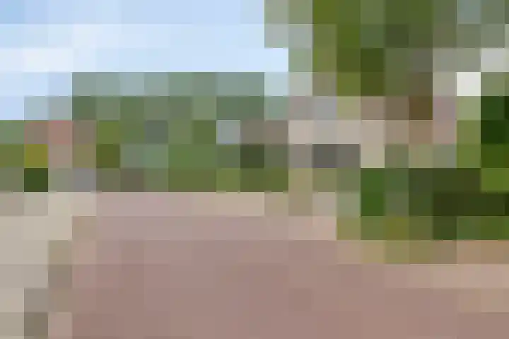 Haringvlietstraat 47 Lewedorp thumbnail 42