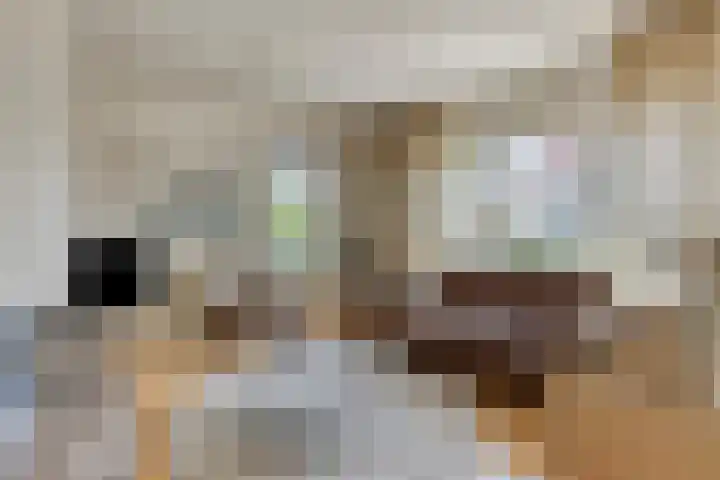 Haringvlietstraat 47 Lewedorp thumbnail 5
