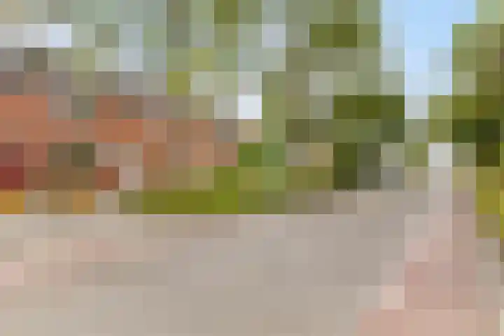 Haringvlietstraat 53 Zierikzee thumbnail 6