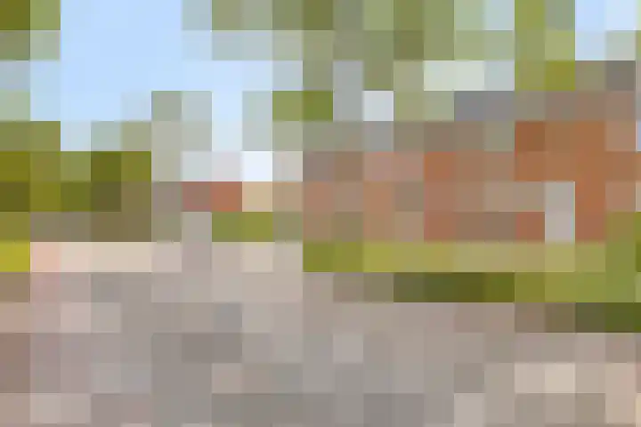Haringvlietstraat 53 Zierikzee thumbnail 7