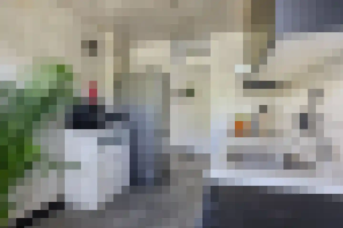 Haringvlietstraat 78 Deventer thumbnail 18