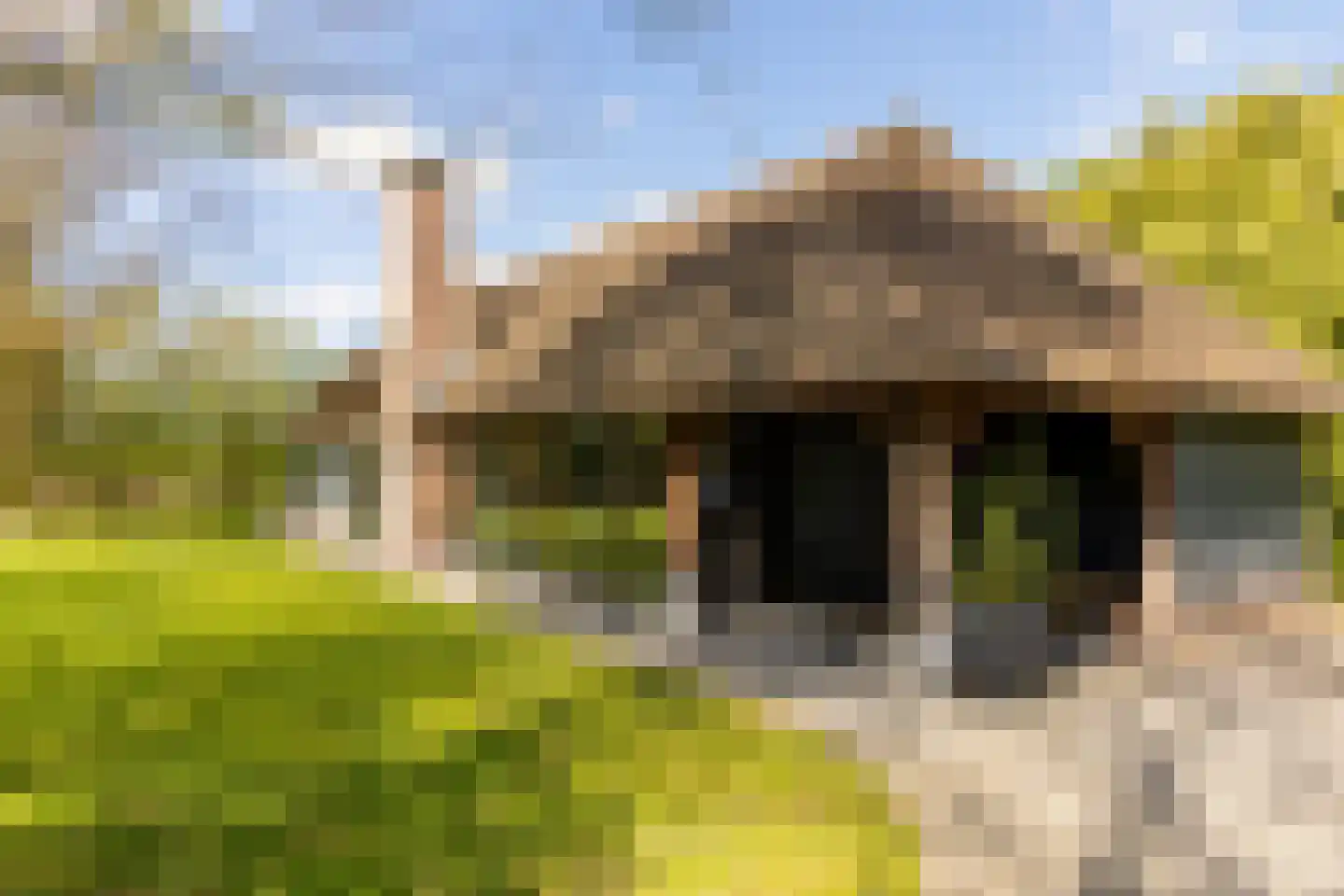 Haringvlietweg 2 Hellevoetsluis thumbnail 10
