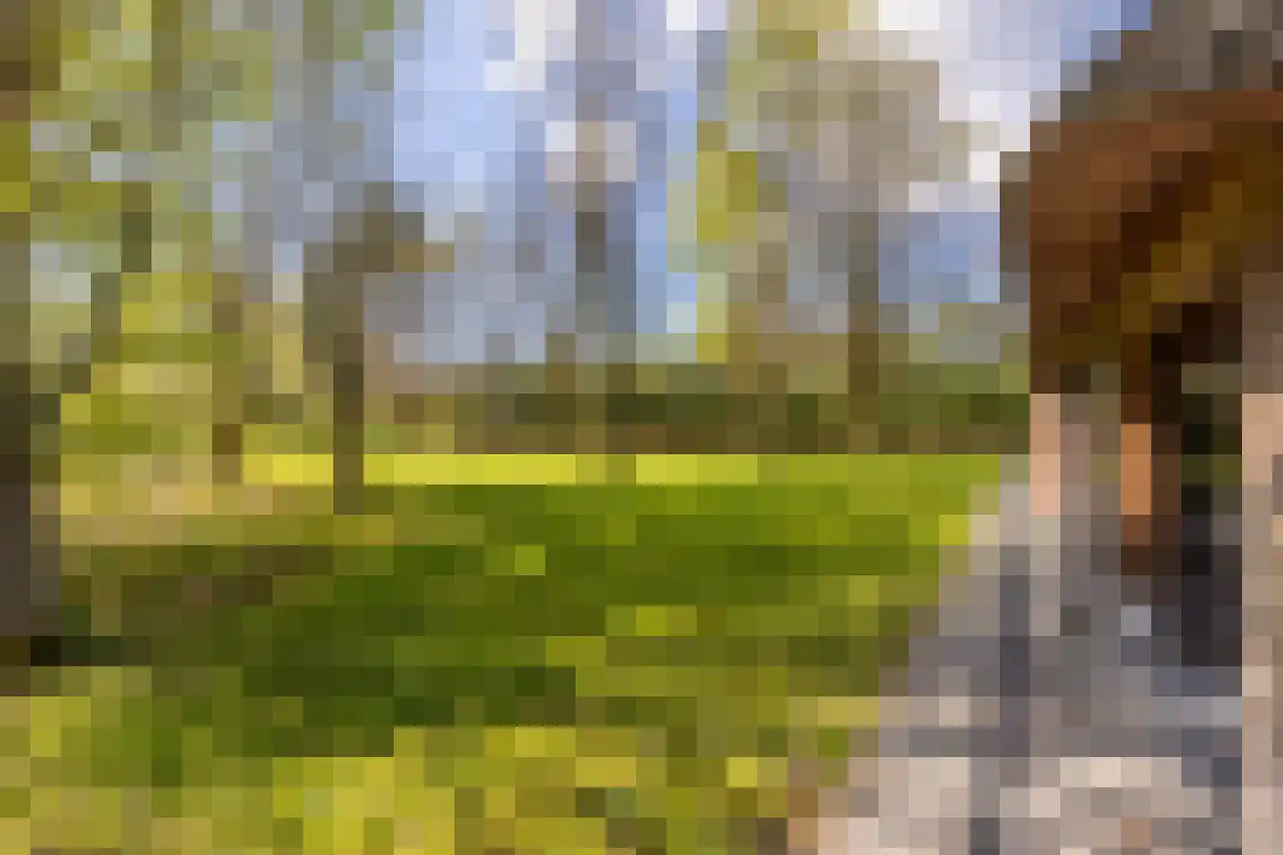 Haringvlietweg 2 Hellevoetsluis thumbnail 11