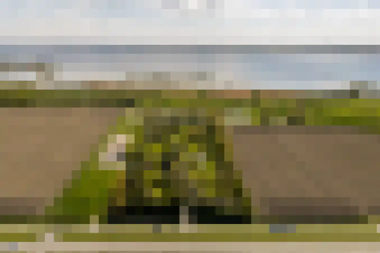 Haringvlietweg 2 Hellevoetsluis thumbnail 138