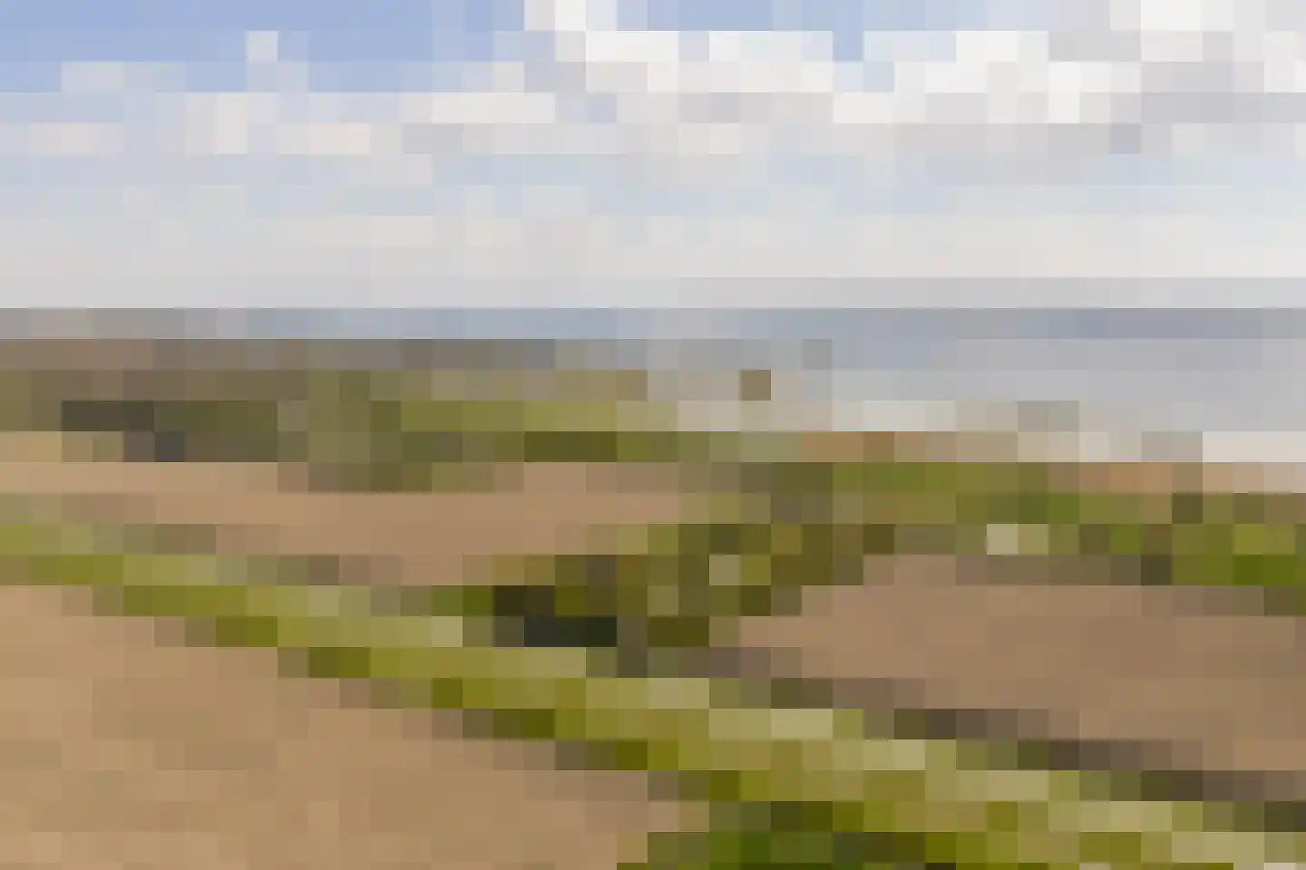 Haringvlietweg 2 Hellevoetsluis thumbnail 139
