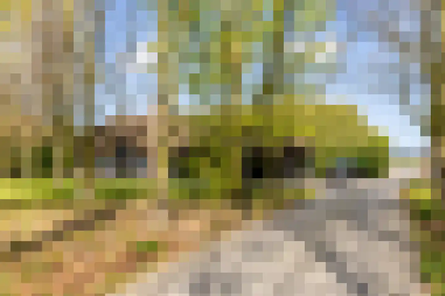 Haringvlietweg 2 Hellevoetsluis thumbnail 7