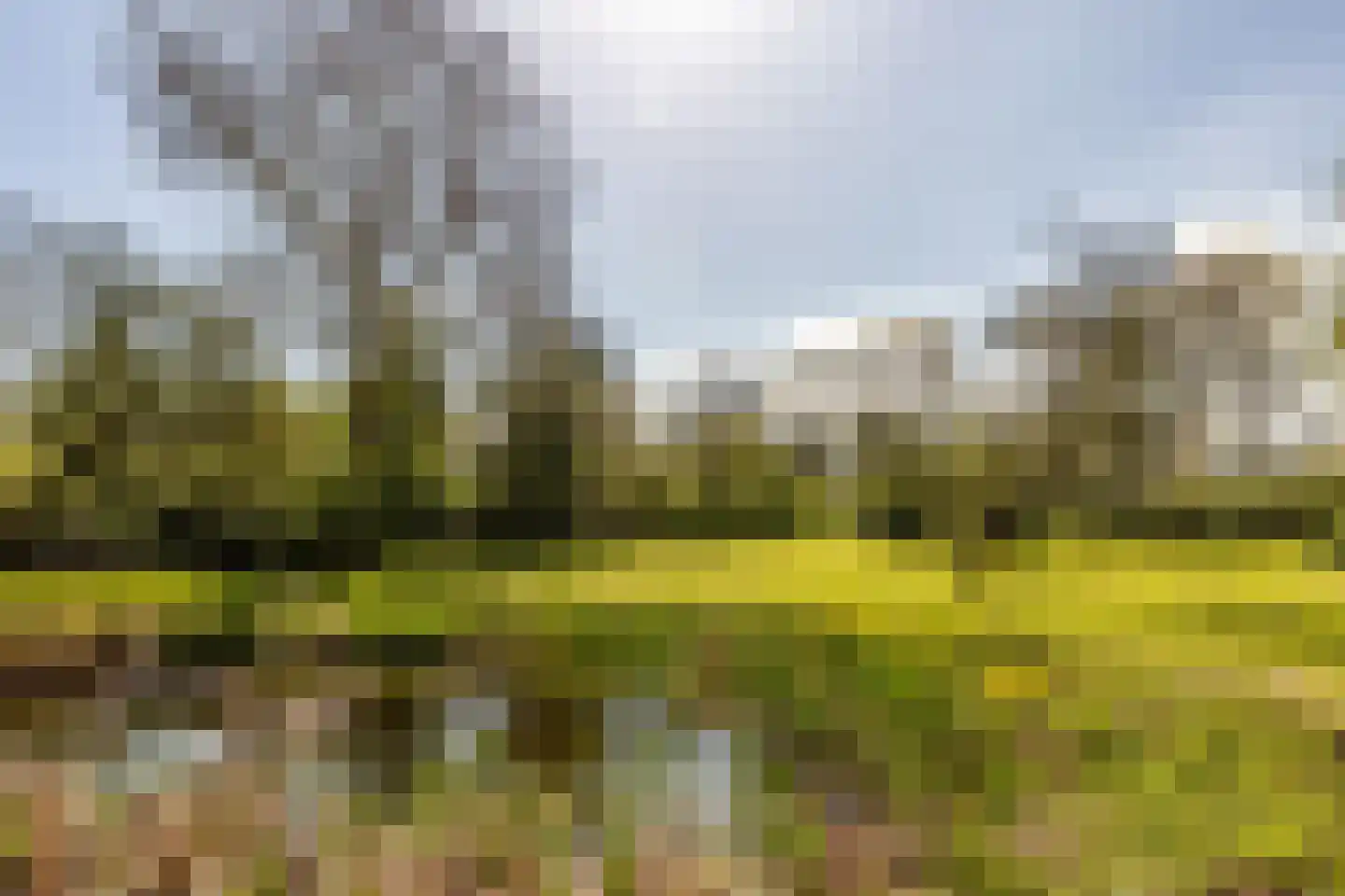 Haringvlietweg 2 Hellevoetsluis thumbnail 80