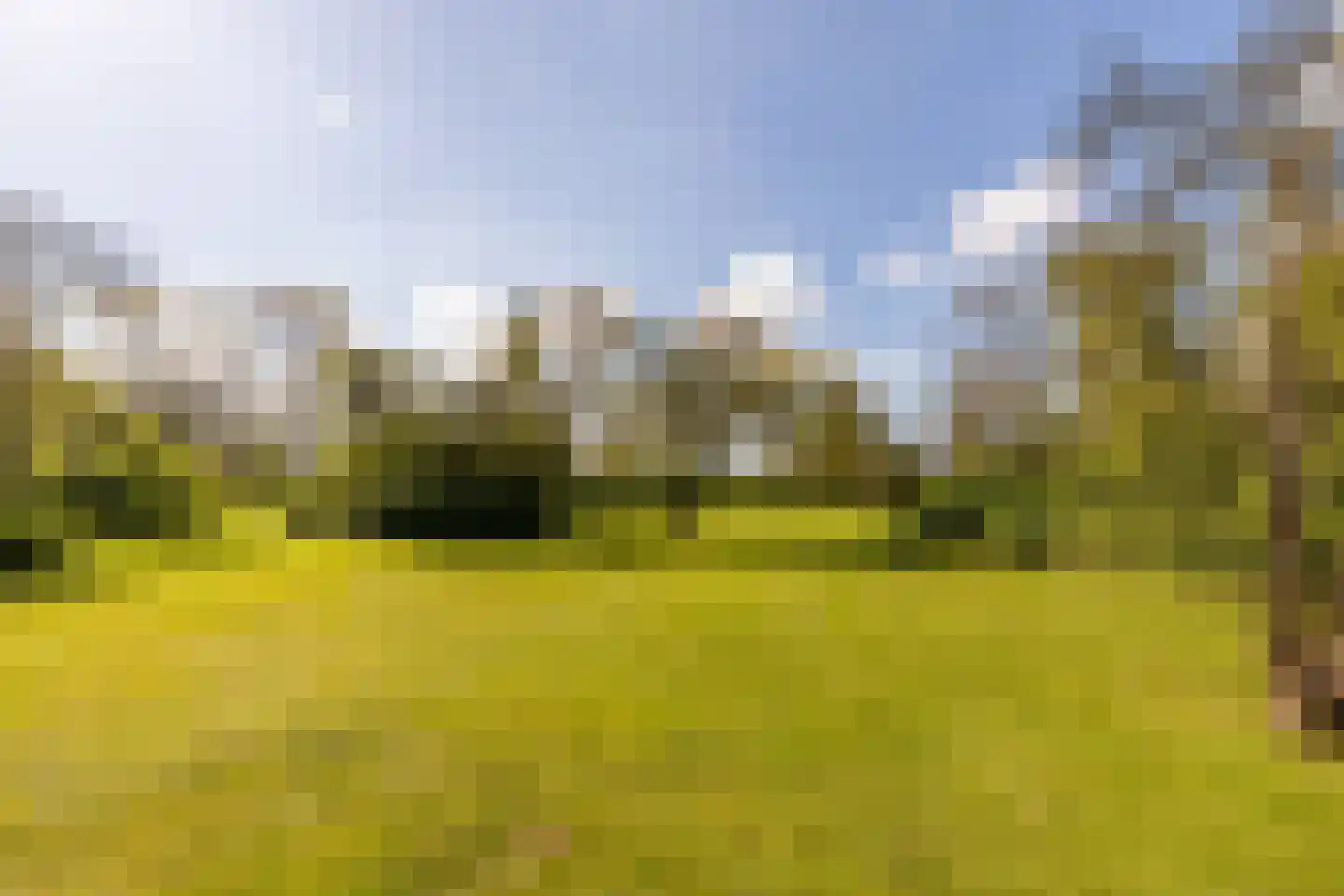 Haringvlietweg 2 Hellevoetsluis thumbnail 81