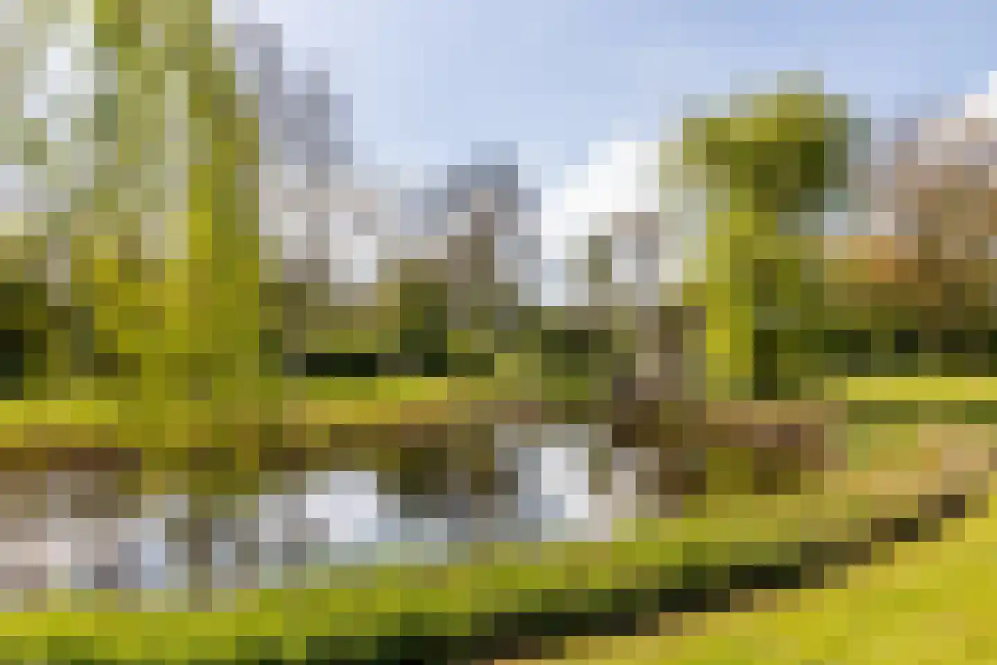 Haringvlietweg 2 Hellevoetsluis thumbnail 82