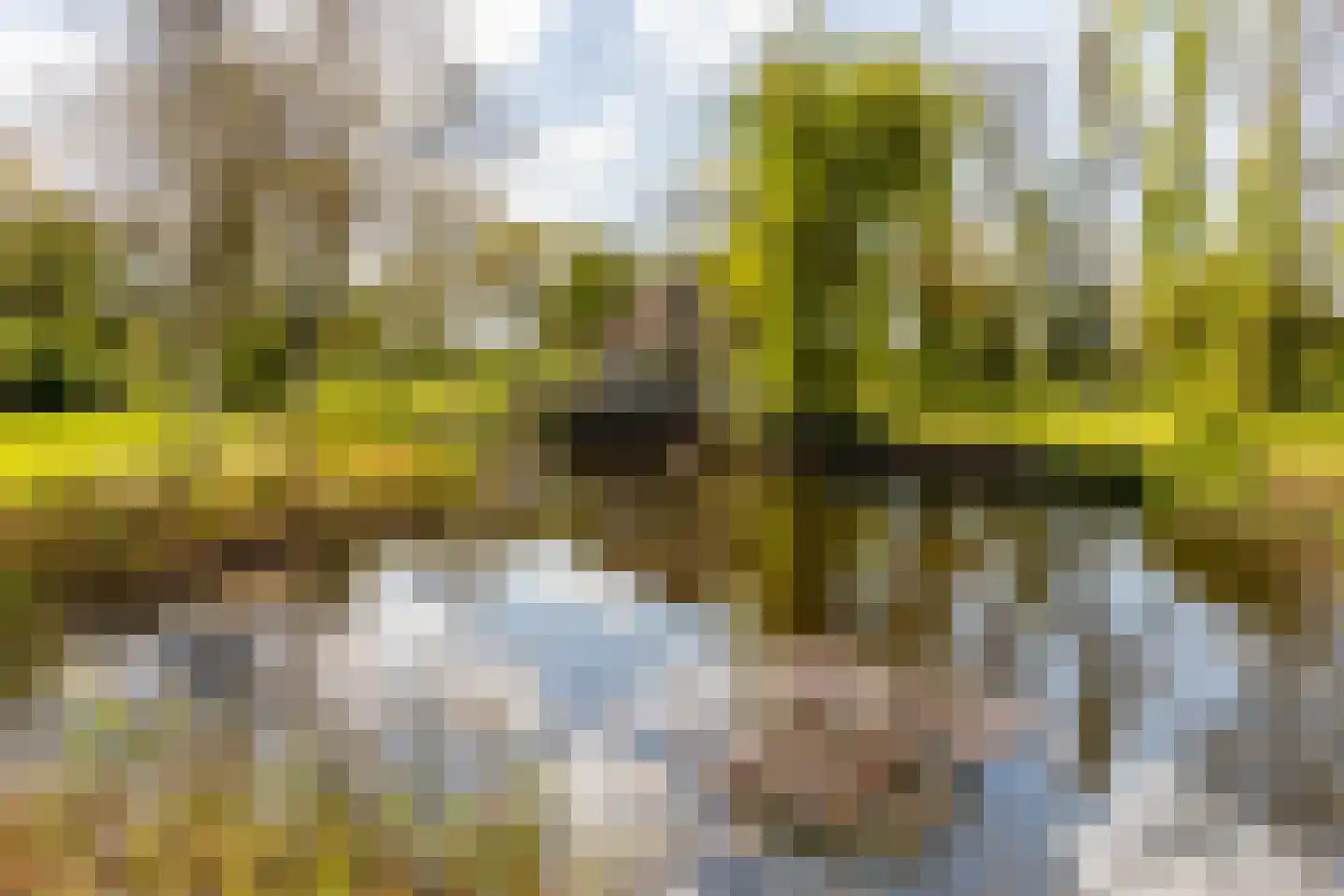 Haringvlietweg 2 Hellevoetsluis thumbnail 83