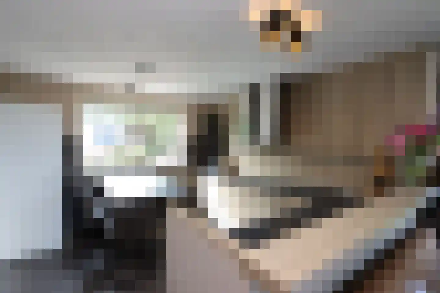 Haringweg 45 Biddinghuizen thumbnail 10